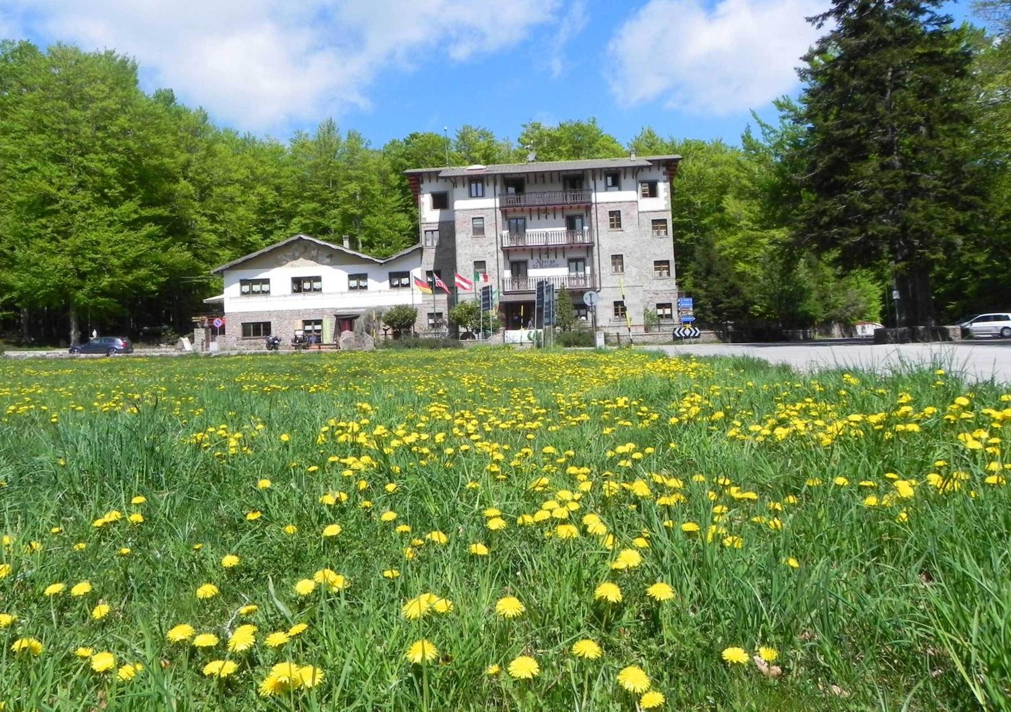 Albergo Le Macinaie - Monte Amiata Castel del Piano  Eksteriør bilde