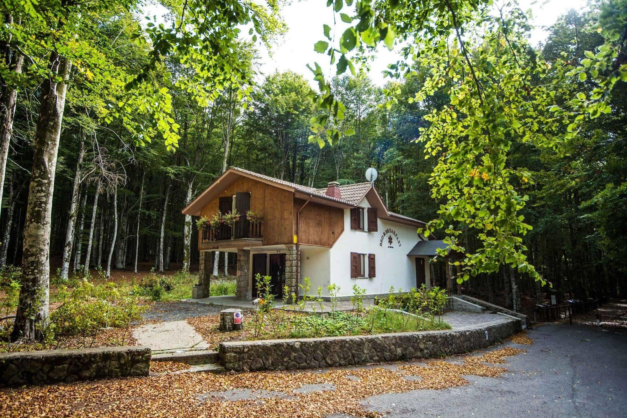 Albergo Le Macinaie - Monte Amiata Castel del Piano  Eksteriør bilde